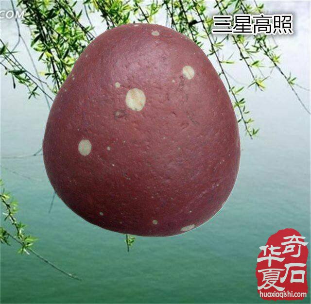 想成为奇石收藏家？你需要做到以下几点