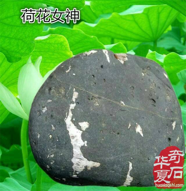 想成为奇石收藏家？你需要做到以下几点