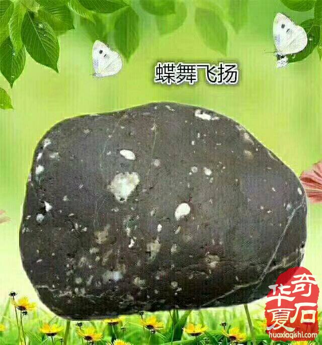 想成为奇石收藏家？你需要做到以下几点