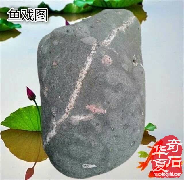 想成为奇石收藏家？你需要做到以下几点