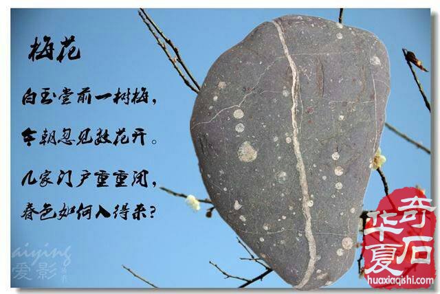 想成为奇石收藏家？你需要做到以下几点