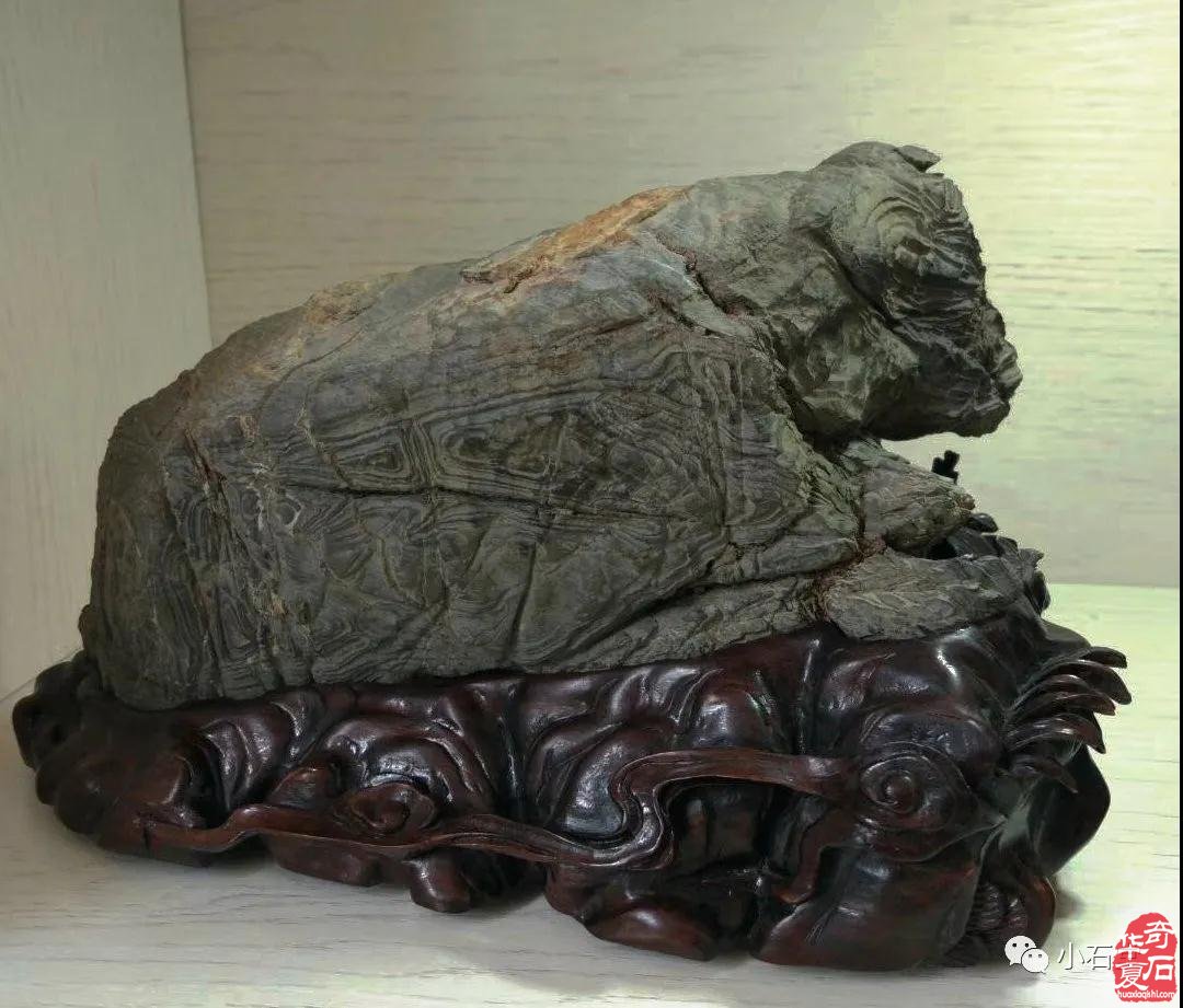 灵璧石—西安会展 靓丽亮点!各地奇石缤彩纷呈!10月17日 隆重开幕!