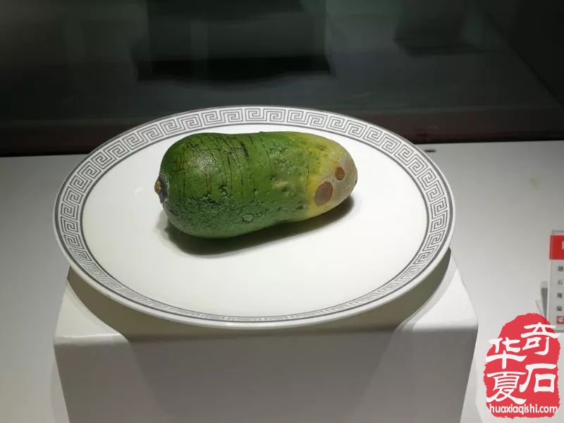 题名:萝卜,石种:戈壁玛瑙,收藏家:梁大卫