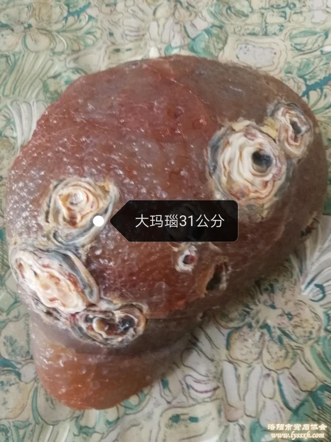 中华神秘文化与赏石文化的开启