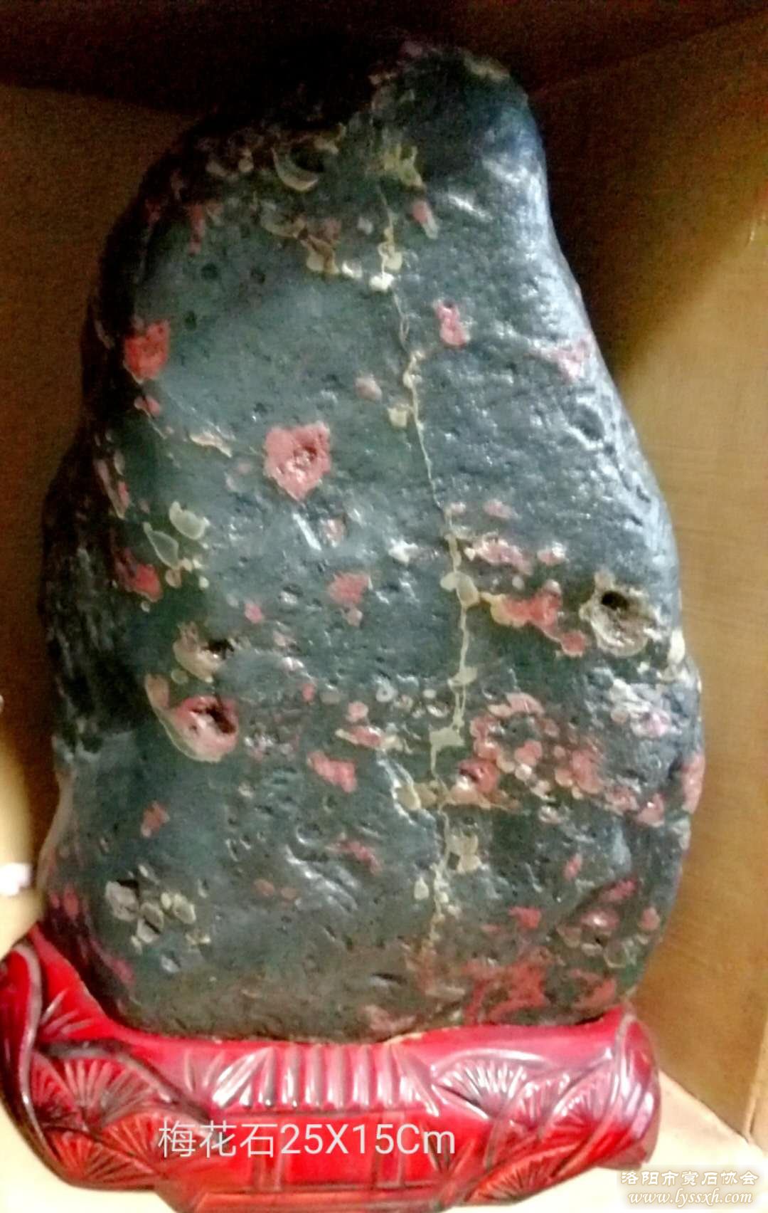 中华神秘文化与赏石文化的开启