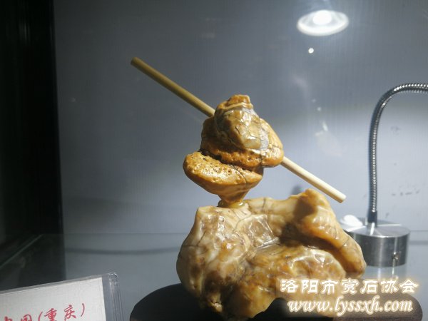 中国（重庆）万石博览会·中国赏石艺术精品赏