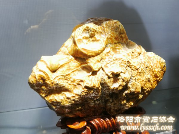 中国（重庆）万石博览会·中国赏石艺术精品赏