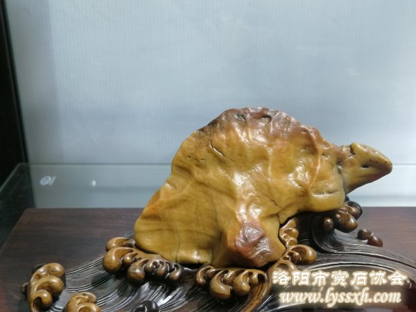 中国（重庆）万石博览会·中国赏石艺术精品赏