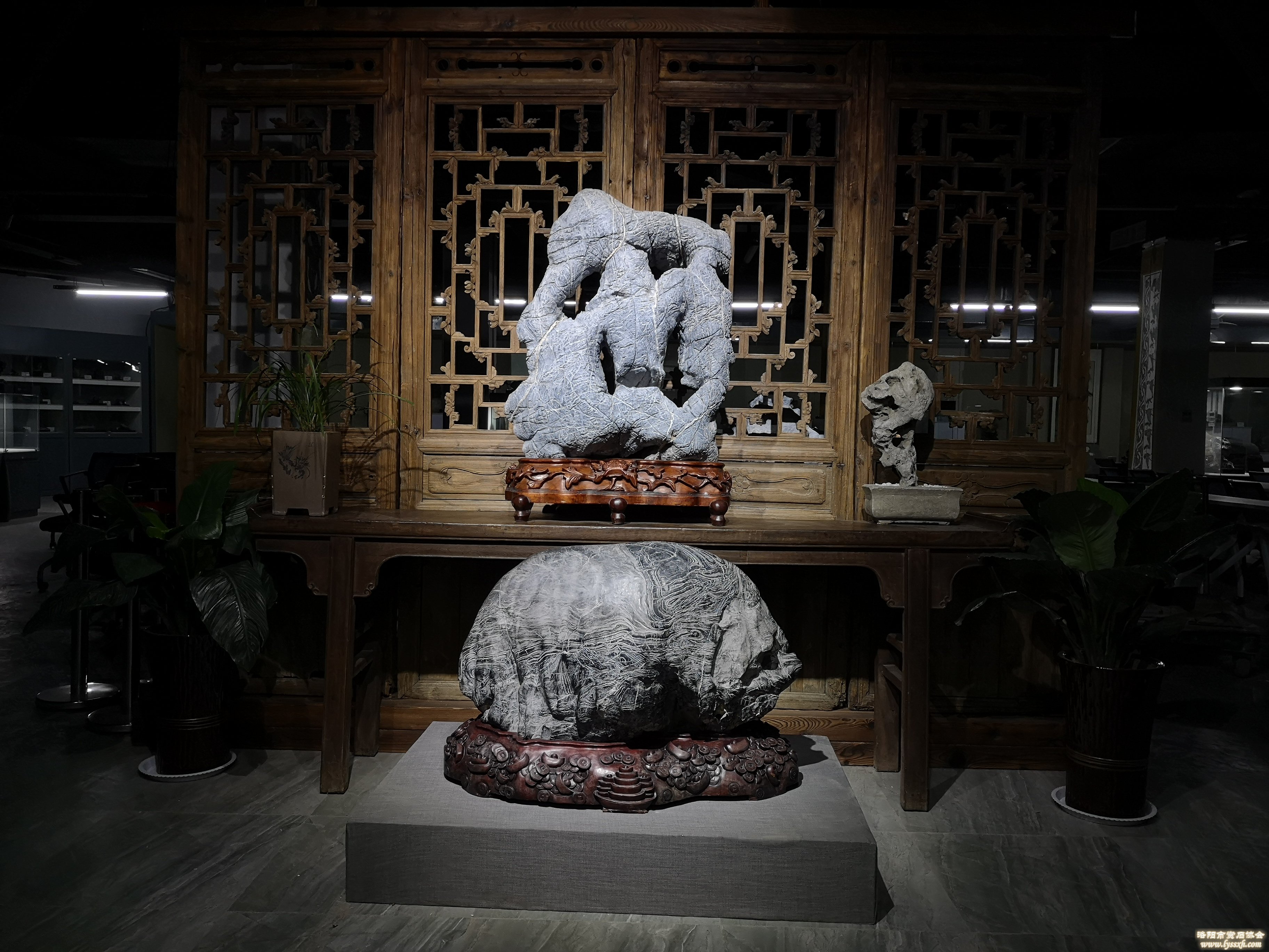300余块“会说话的石头”亮相徐州观象博物馆