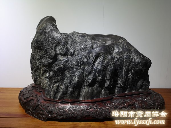 300余块“会说话的石头”亮相徐州观象博物馆
