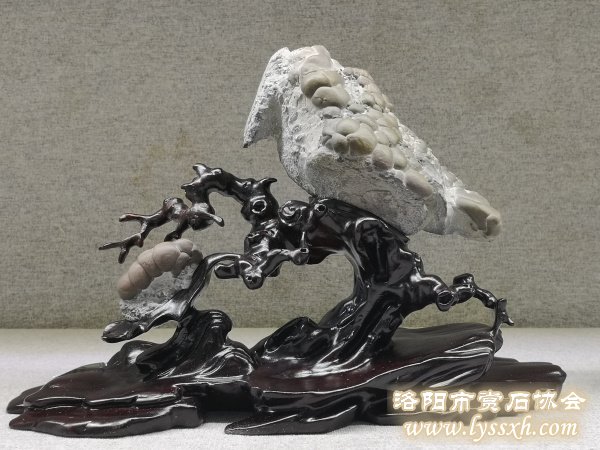 300余块“会说话的石头”亮相徐州观象博物馆