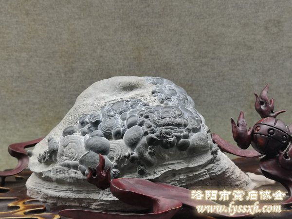 300余块“会说话的石头”亮相徐州观象博物馆
