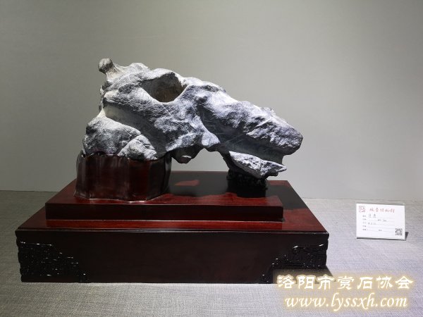 300余块“会说话的石头”亮相徐州观象博物馆