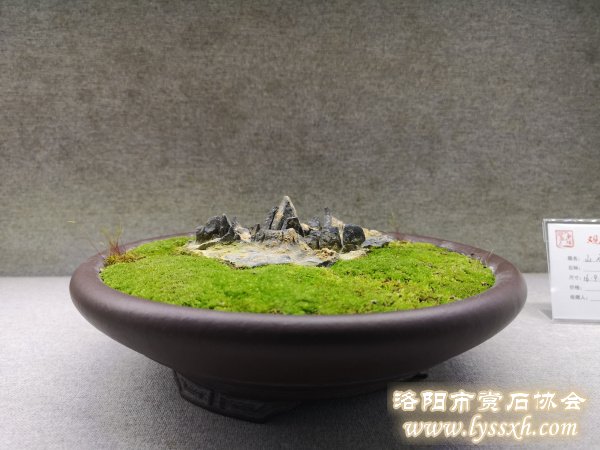 300余块“会说话的石头”亮相徐州观象博物馆