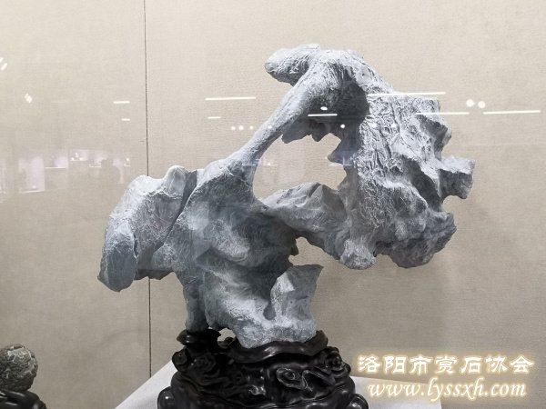 灵璧石边界研讨会暨老石友藏品联展