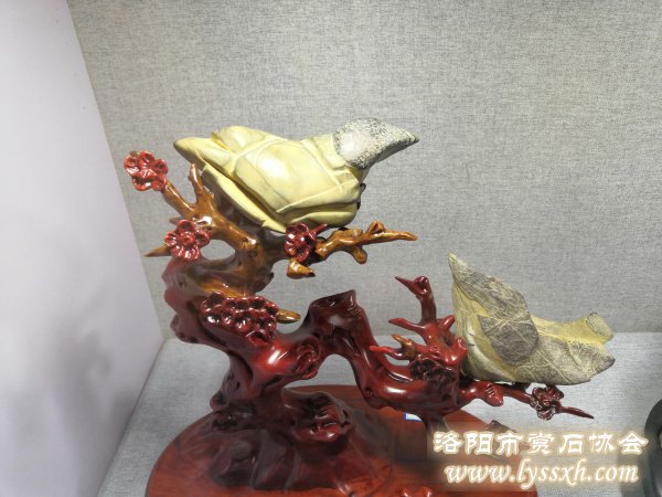 灵璧石边界研讨会暨老石友藏品联展