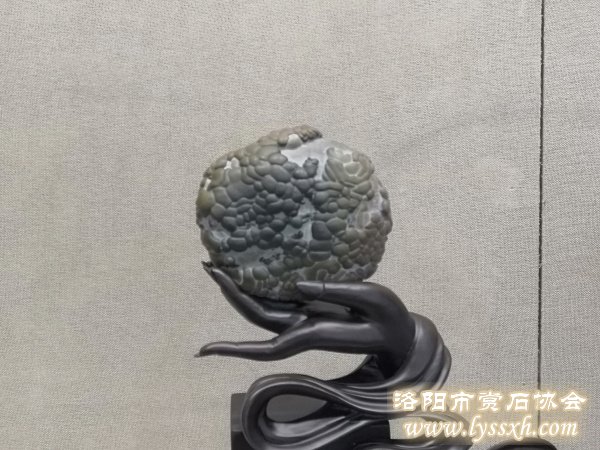 徐州老石友藏品联展上精品珍珠灵璧石