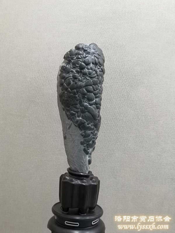 徐州老石友藏品联展上精品珍珠灵璧石