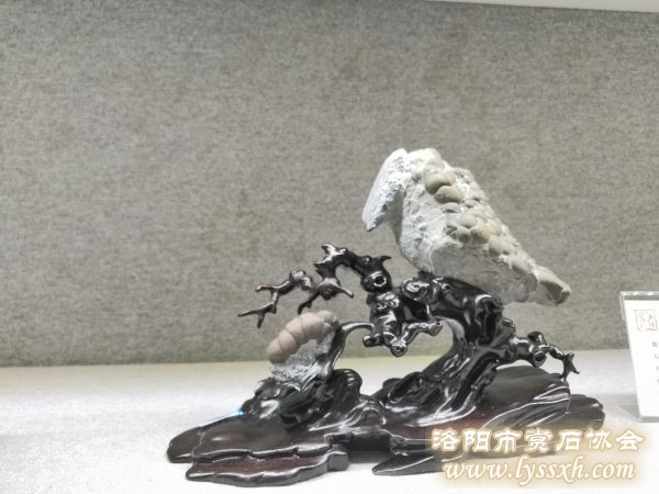 徐州老石友藏品联展上精品珍珠灵璧石
