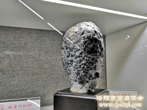 徐州老石友藏品联展上精品珍珠灵璧石