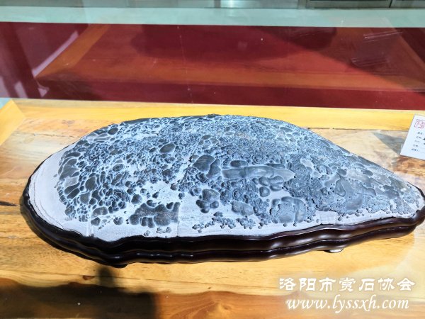 徐州老石友藏品联展上精品珍珠灵璧石