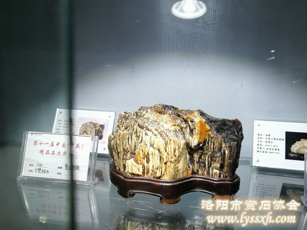 回望重庆万石博览会上的精彩作品 图