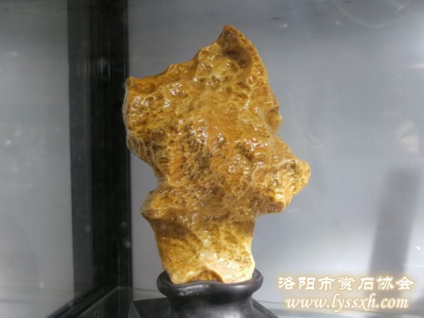 回望重庆万石博览会上的精彩作品 图