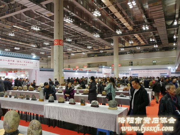 回望重庆万石博览会上的精彩作品 图