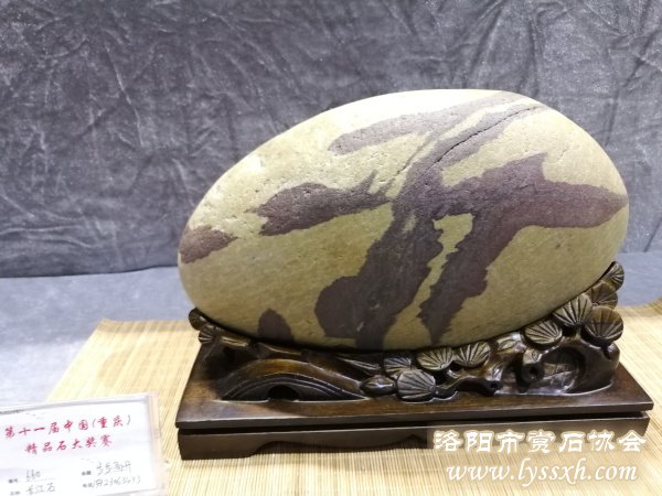 回望重庆万石博览会上的精彩作品 图