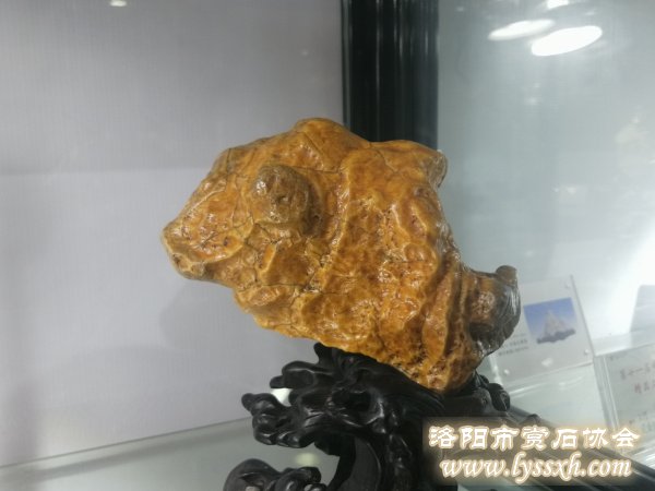 回望重庆万石博览会上的精彩作品 图