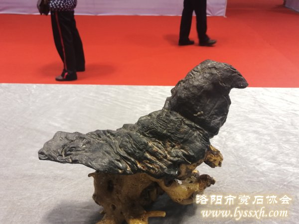 回望重庆万石博览会上的精彩作品 图
