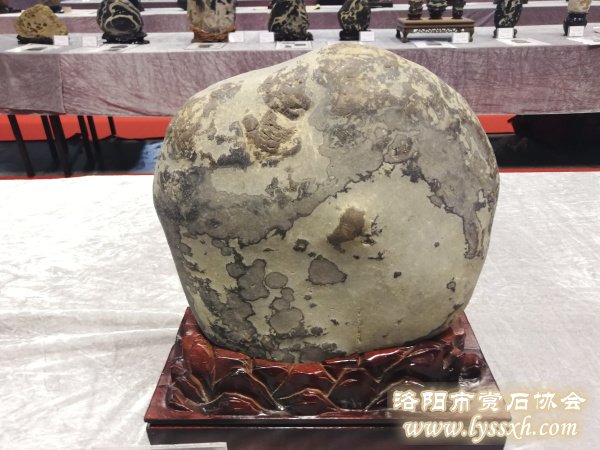 回望重庆万石博览会上的精彩作品 图