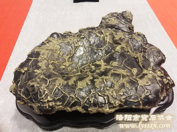 回望重庆万石博览会上的精彩作品 图