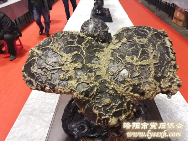 回望重庆万石博览会上的精彩作品 图