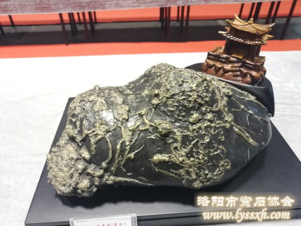 回望重庆万石博览会上的精彩作品 图