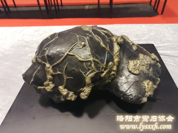 回望重庆万石博览会上的精彩作品 图