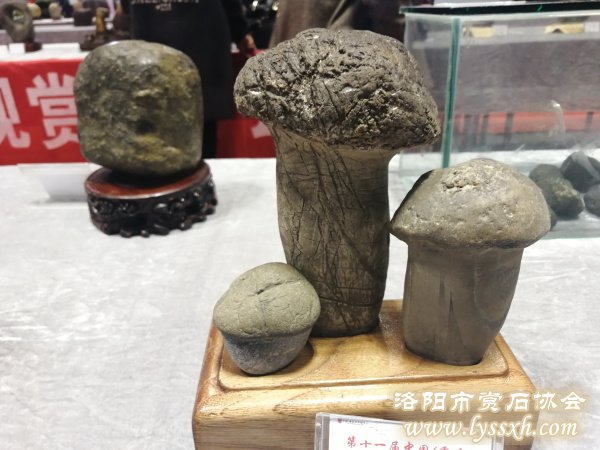 回望重庆万石博览会上的精彩作品 图