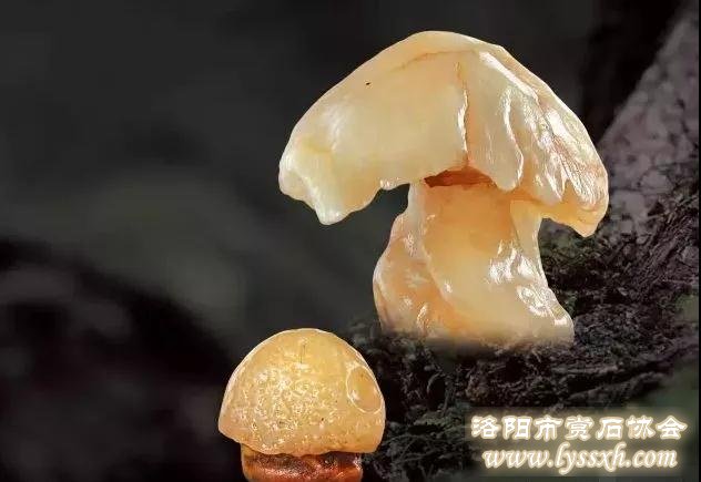 多参加奇石展，做一个见过世面的玩石人很重要！