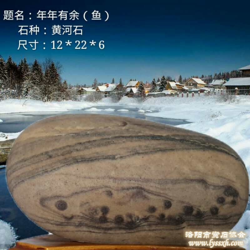 多参加奇石展，做一个见过世面的玩石人很重要！