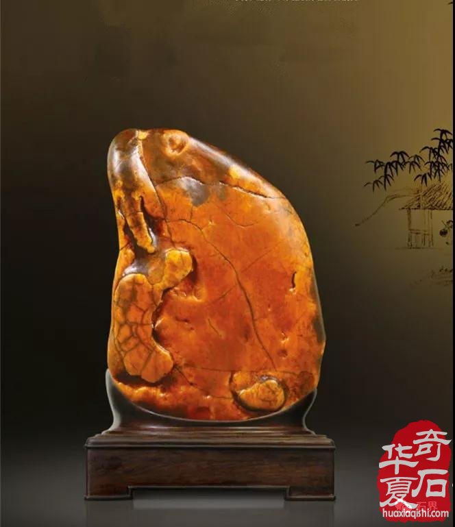 对赏石艺术学的随想
