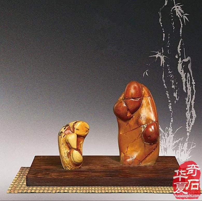 对赏石艺术学的随想