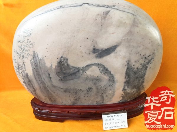 不忘初心 玩石头人不要太关心奇石的价格 图