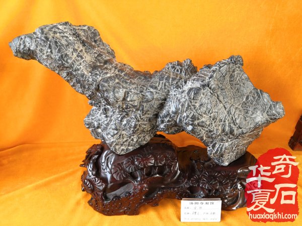 不忘初心 玩石头人不要太关心奇石的价格 图