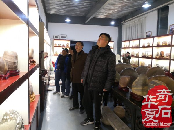 上海沪太路的赏石大家参访洛阳奇石馆