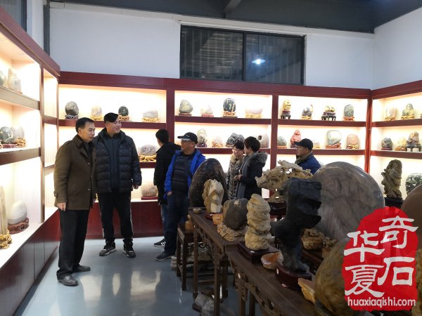 上海沪太路的赏石大家参访洛阳奇石馆
