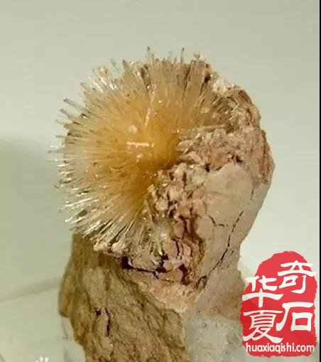 历史上第一有名的石头到底是什么奇石，产于何地?