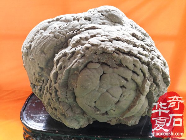 忘却烦恼 快乐开心的玩石 图
