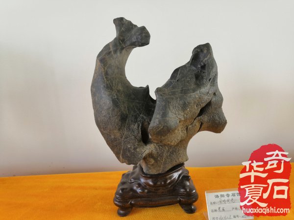 具备了这些 把石头玩好应该没问题