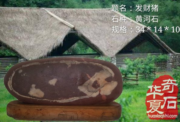 洛阳市赏石协会给全国的石友拜年啦！ 图