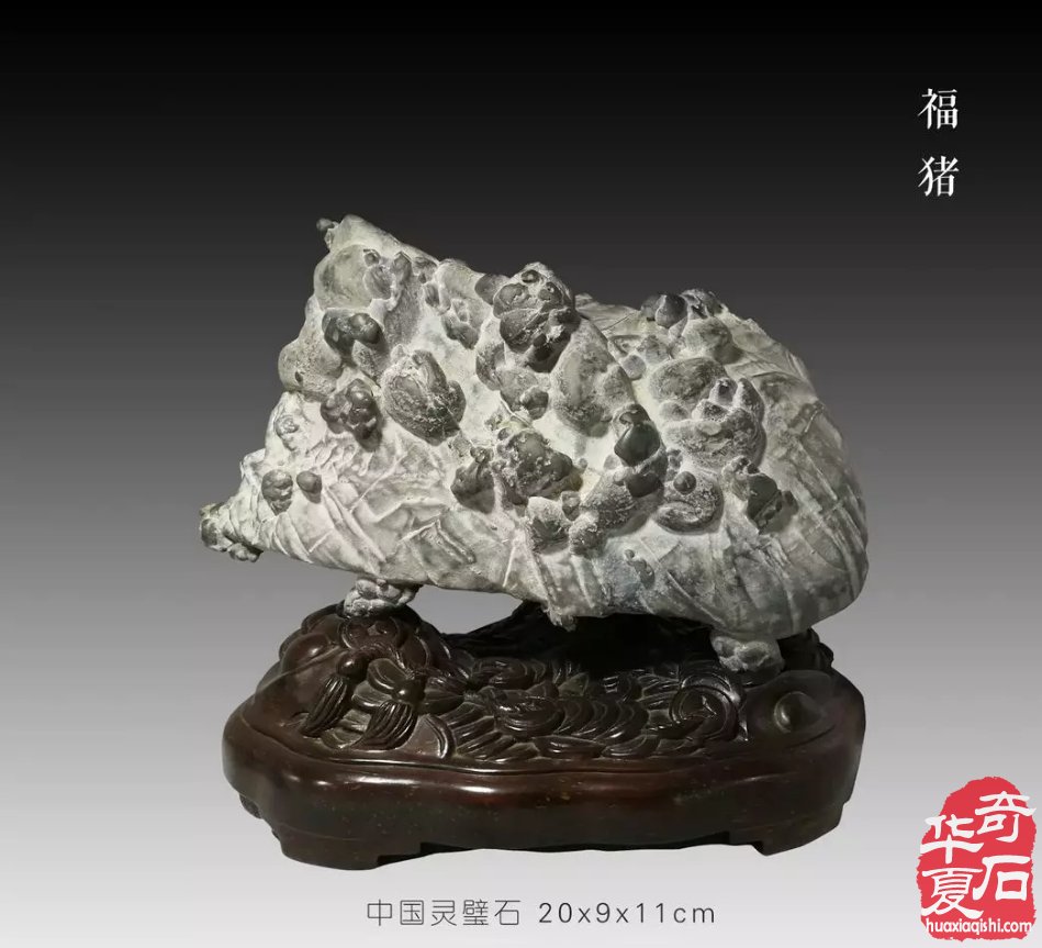 洛阳市赏石协会给全国的石友拜年啦！ 图